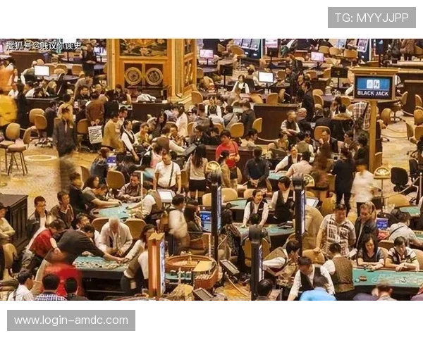 澳门十大顶级赌场的获奖荣誉与行业地位深度分析