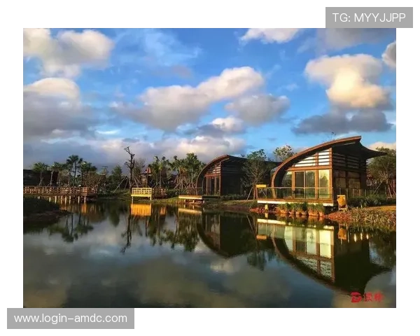 澳门角子机区的市场竞争格局与品牌建设策略分析