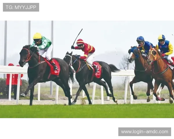 优化马会投注手机版会员登录体验,提升投注速度与安全性 优化马会投注手机版会员登录体验,提升投注速度与安全性