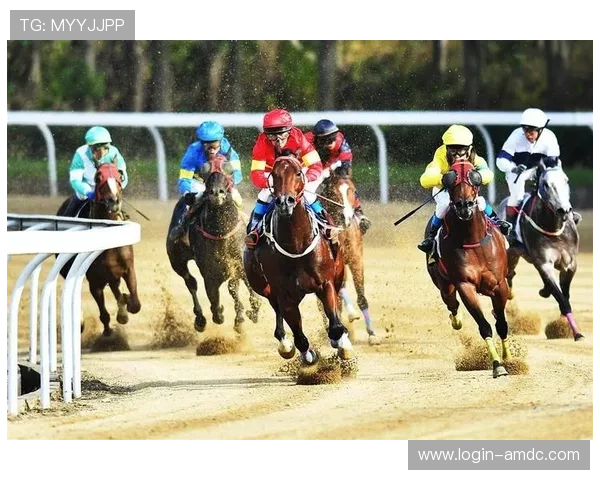 如何选择适合自己的赛马会游戏玩法提升竞技水平