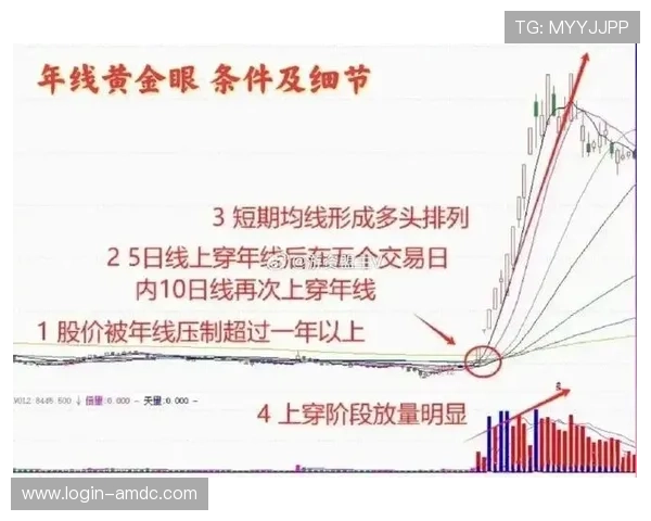 探索dg视讯实现持续盈利的核心技巧与操作策略