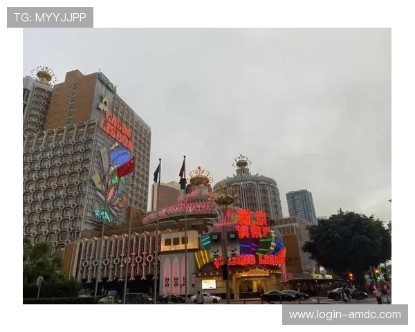 澳门六大赌牌全面解析，揭示澳门博彩行业的核心牌照结构