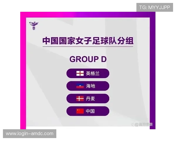 巴西世界杯海地球迷签证办理流程中的常见误区及解决方案